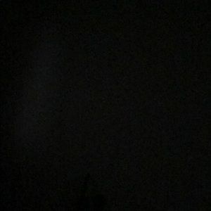 Meet your Posher, Larry